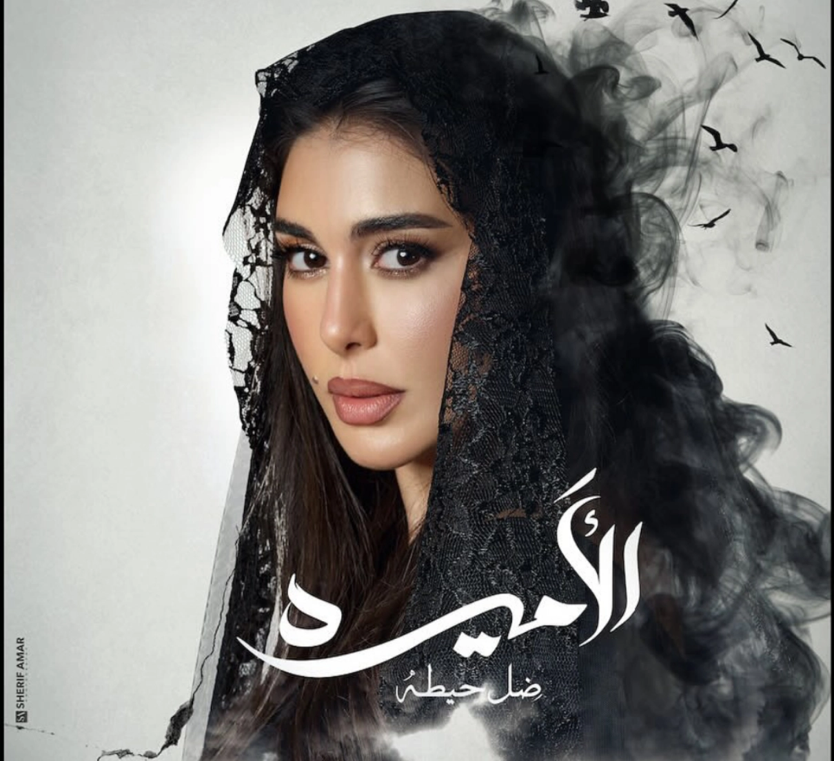 موعد عرض مسلسل “الأميرة – ظل حيطة” بطولة ياسمين صبري ونقولا معوض 2025.. والقناة الناقلة